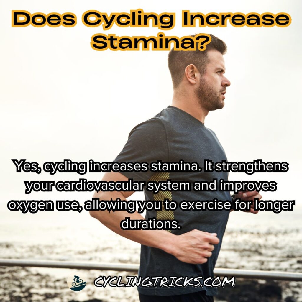 Does Cycling Increase Stamina The Real Answer