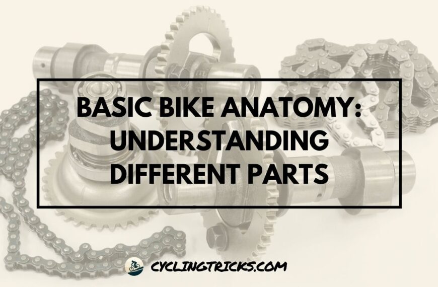 Basic Bike Anatomy Understanding Different Parts