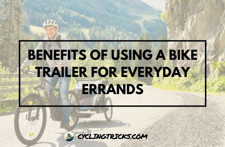 Benefits of Using a Bike Trailer for Everyday Errands