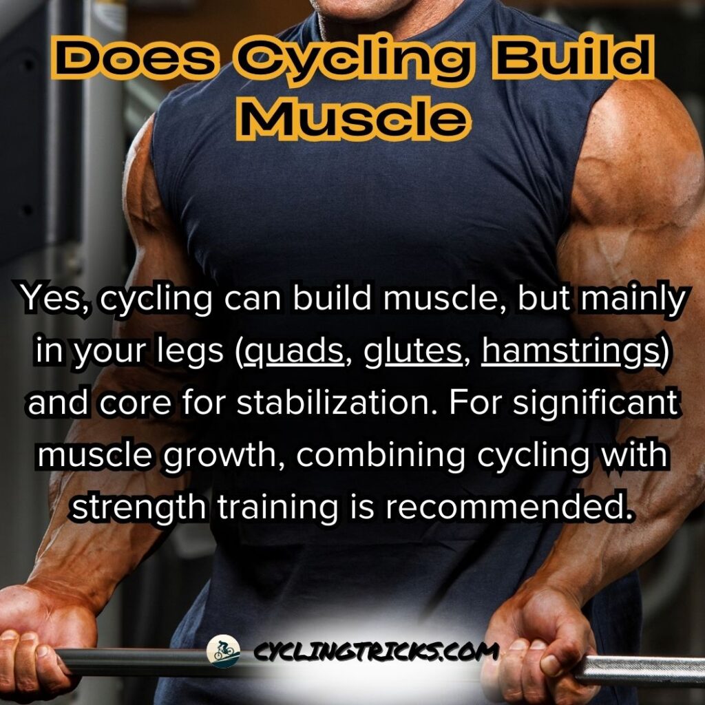 Does Cycling Build Muscle