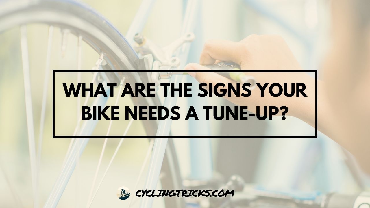 What Are the Signs Your Bike Needs a Tune-Up