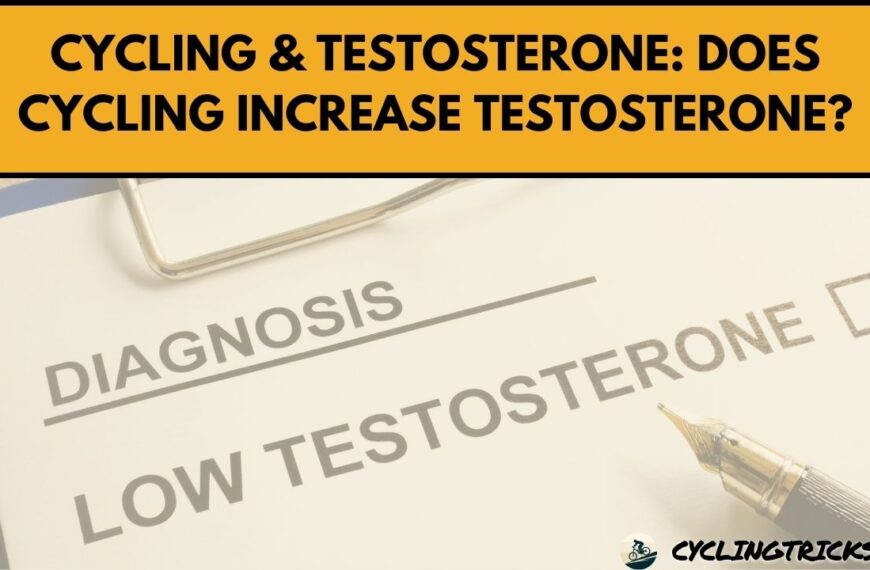 Cycling & Testosterone Does Cycling Increase Testosterone