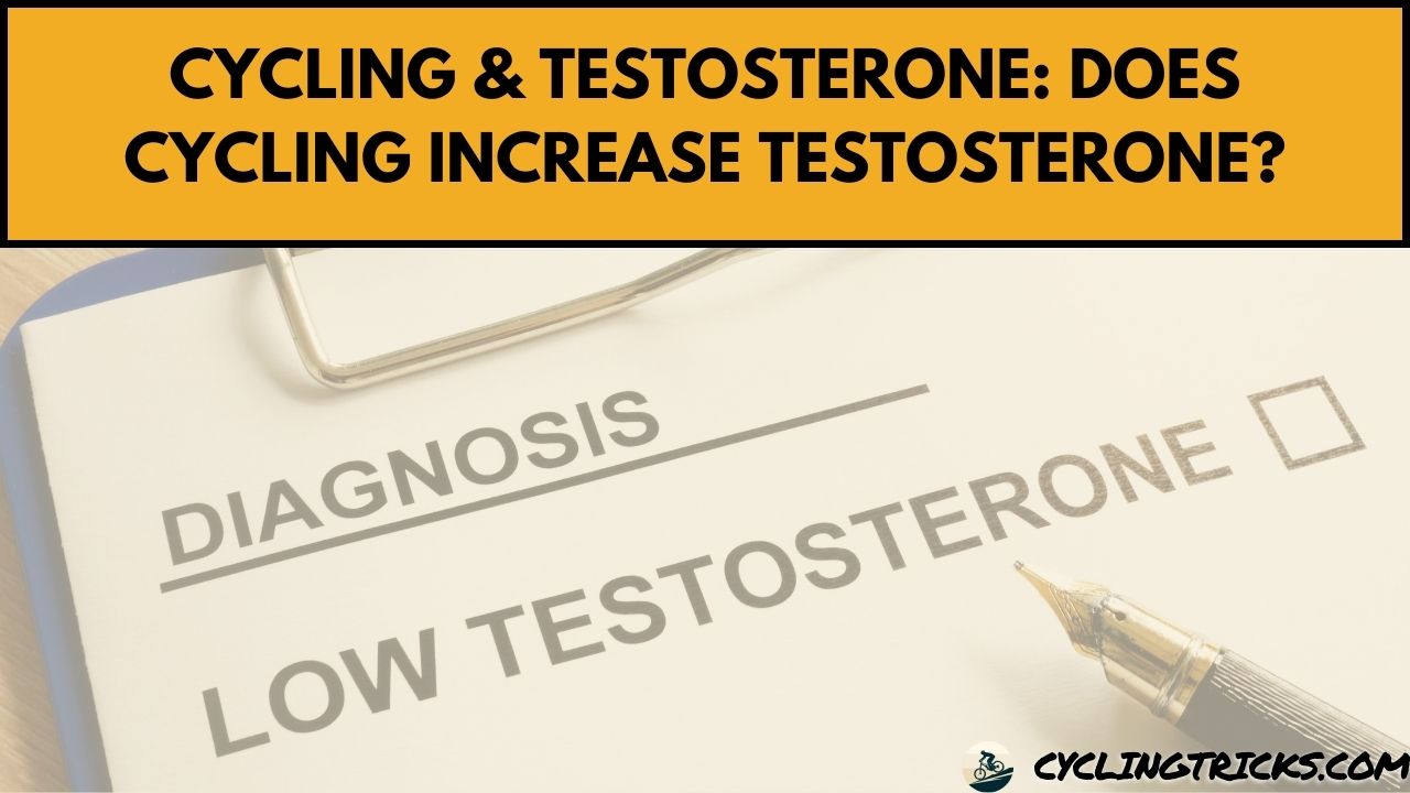 Cycling & Testosterone Does Cycling Increase Testosterone