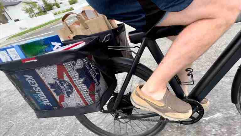 Bike Grocery Bags